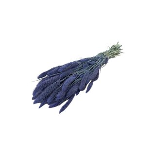 Dutch Dried Frosted Milka Setarea dried flowers | Length ± 70 centimetres | Weight ± 150 grams