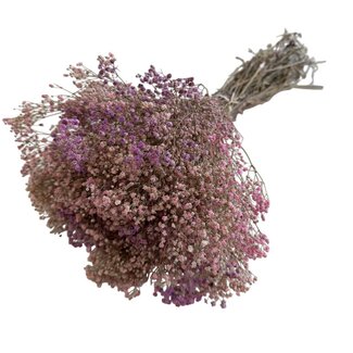 Casa Alegria Roze Mix Gypsophila droogbloemen | Gepreserveerd Gipskruid | Lengte ± 65 centimeter | Per 100 gram