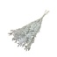 Wit gebleekte en gepreserveerd  Ruscus droogbloemen  | Lengte ± 65 centimeter | Gewicht ± 100 gram