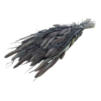 Dutch Dried Natural Red Jewel Set of Dried Flowers | Length ± 65 centimetres | Weight ± 150 grams