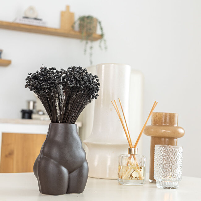 Black Glixia dried flowers | Length ± 50 centimetres | Weight ± 50 grams