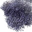 Lila-blaue Broom Bloom Trockenblumen | Länge ± 50 Zentimeter | Gewicht 100 Gramm