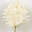 White bleached Palm Sun branches | Length ± 60 centimetres | Per 5 branches