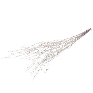Dutch Dried Zilverkleurige Berkentakken | Lengte ± 60 centimeter | Per 10 takken