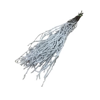 Dutch Dried Wit besneeuwde Berkentakken | Lengte ± 60 centimeter | Per 10 takken