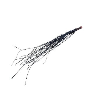 Dutch Dried Zwarte Berkentakken | Lengte ± 60 centimeter | Per 10 takken