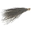 Black Birch Branches | Length ± 60 centimetres | Per 10 branches