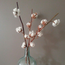 Natural cotton branches | 4 - 5 white cotton bolls per branch | ± Length 45 centimetres