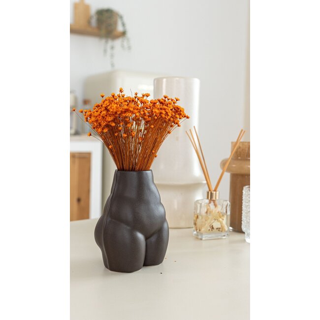 Orange Glixia Trockenblumen | Länge ± 50 Zentimeter | Gewicht ± 50 Gramm