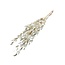 White bleached Baby Lunaria dried flowers | Length ± 65 centimetres | Weight ± 100 grams