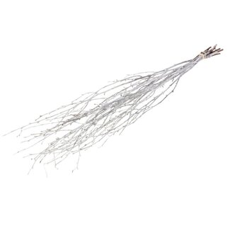 Dutch Dried Brindilles de bouleau blanches brumeuses | Longueur ± 60 centimètres | Par 10 brindilles