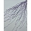Lilac Misty Berkentakken | Lengte ± 60 centimeter | Per 10 takken