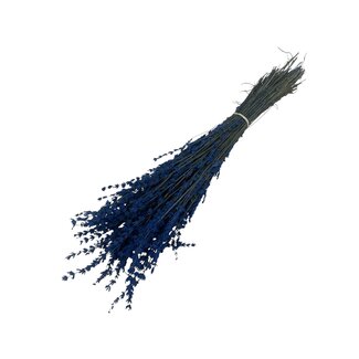 Casa Alegria Donkerblauw gepreserveerde Lavendel | Lengte ± 45 centimeter | Gewicht ± 150 gram