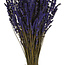 Lavande préservée bleu foncé | Longueur ± 45 centimètres | Poids ± 150 grammes