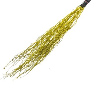 Dutch Dried Gelbe Birkenzweige | Länge ± 60 Zentimeter | Pro 10 Zweige