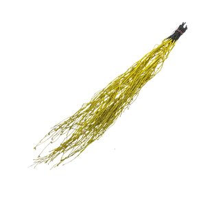 Dutch Dried Yellow Birch Branches | Length ± 60 centimetres | Per 10 branches