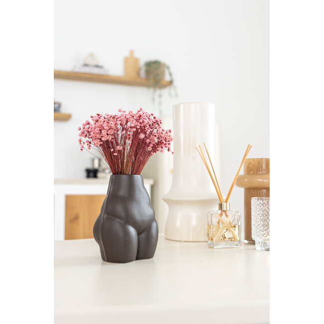 Lichtroze Glixia droogbloemen | Lengte ± 50 centimeter | Gewicht ± 50 gram