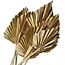 Gold-coloured dried Palm Spear | Length ± 45 centimetres | Per 5 stems