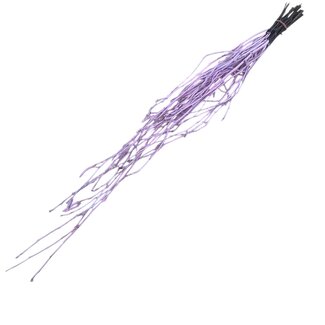 Dutch Dried Brume Rose Branches de Bouleau | Longueur ± 60 centimètres | Par 10 branches