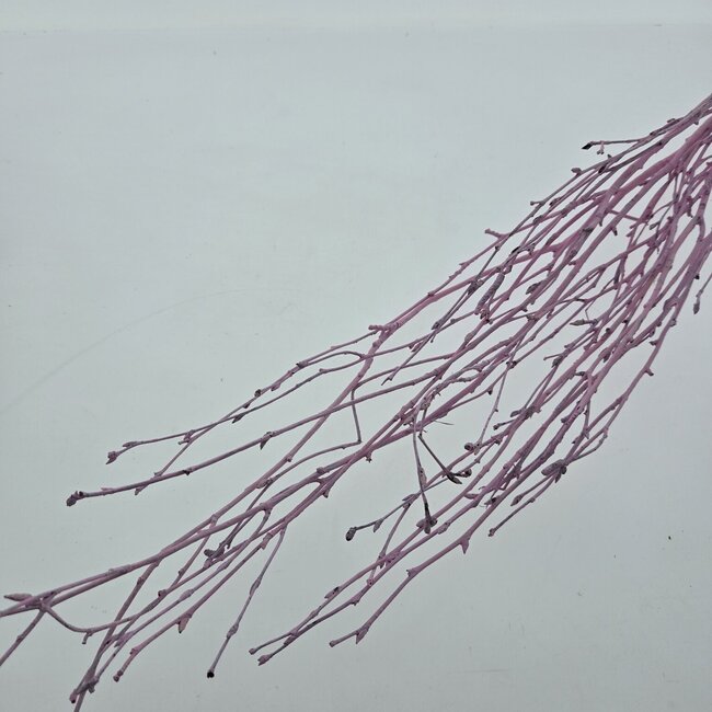 Pink Misty Birch Branches | Length ± 60 centimetres | Per 10 branches
