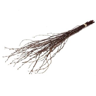 Dutch Dried Natural Brown Birch Branches | Length ± 60 centimetres | Per 20 branches