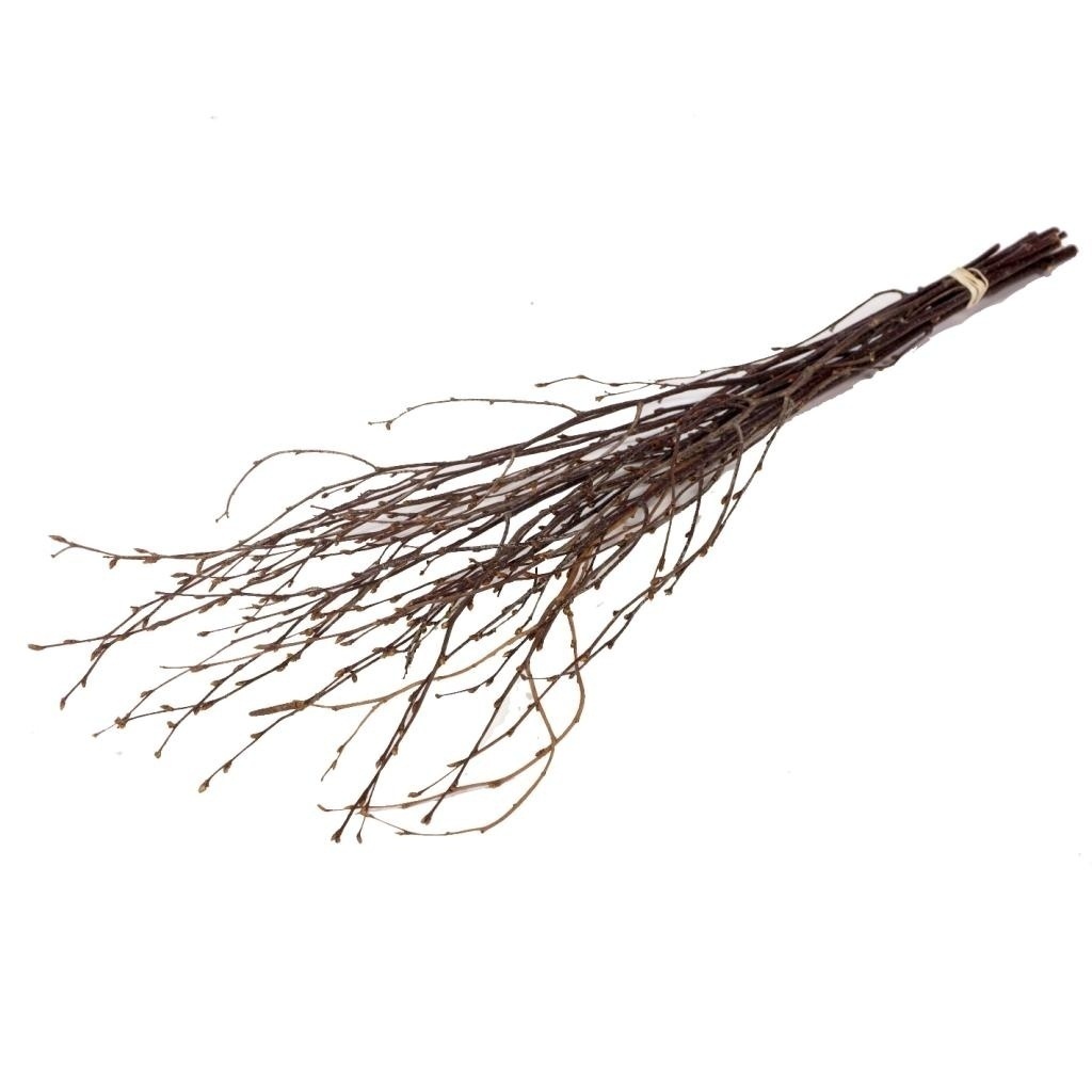 Natürliche braune Birkenzweige - Set von 20, 60 cm Der Online-Shop fuer Kreative
