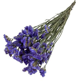 Dutch Dried Lila Statice Sinuata droogbloemen | Lengte ± 70 centimeter | Gewicht ± 75 gram
