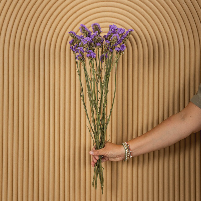 Lilac Statice Sinuata dried flowers | Length ± 70 centimetres | Weight ± 75 grams