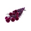 Fuchsia Echinops preserved flowers | Length ± 65 centimetres | Weight ± 350 grams