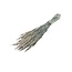 Coral-coloured Avena Oat dried flowers | Length ± 70 centimetres | Weight 150 grams
