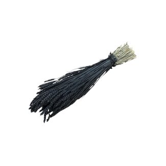 Dutch Dried Black Triticum - Wheat dried flowers | Length ± 70 centimetres | Weight ± 175 grams