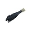 Black Triticum - Wheat dried flowers | Length ± 70 centimetres | Weight ± 175 grams