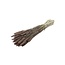Light Brown Triticum - Wheat Dried Flowers | Length ± 70 centimetres | Weight ± 175 grams
