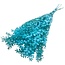 Aqua blue Ruscus dried flowers | Length ± 65 centimetres | Weight ± 100 grams