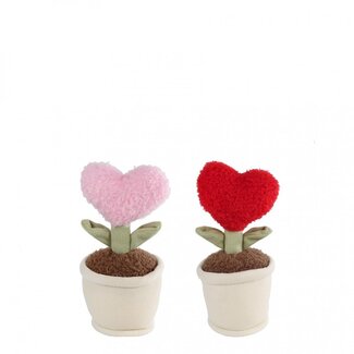 4A Plant Hart in Pot | Kleur: Gemengde Kleuren | Diameter 8 centimeter | Hoogte 16 centimeter | Per 10 planten