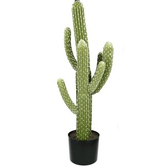 4A Cactus Plante Artificielle | Couleur : Vert | Diamètre 35 centimètres | Hauteur 83 centimètres | Par plante artificielle