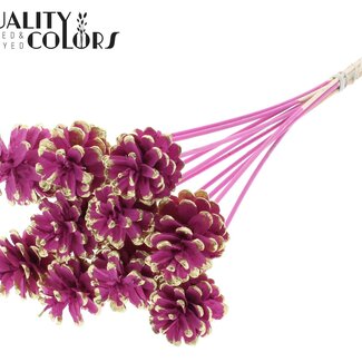 QC Pomme de pin sur tige | Couleur : Cerise et Doré | Pique décorative Cerise Dorée | Diamètre de la pomme de pin 5 - 7 centimètres | Longueur ± 50 centimètres | Par 10 piques décoratives