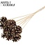 Pomme de pin sur bâton | Couleur : Marron avec doré | Bijsteker à pointe dorée | Diamètre de la pomme de pin 5 - 7 centimètres | Longueur ± 50 centimètres | Par 10 bijstekers