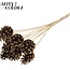 Kiefernzapfen auf Stiel | Farbe: Braun mit Antik-Goldfarben | Antique Gold Tipped Stecker | Durchmesser Kiefernzapfen 5 - 7 Zentimeter | Länge ± 50 Zentimeter | Pro 10 Stecker