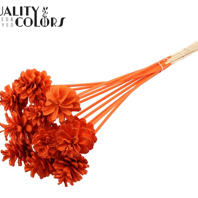 Kiefernzapfen auf Stab | Farbe: Orange | Covered Orange Einstecker | Durchmesser Kiefernzapfen 5 - 7 Zentimeter | Länge ± 50 Zentimeter | Pro 10 Einstecker