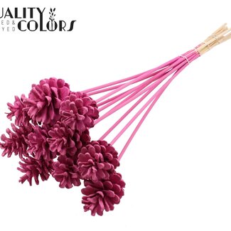 QC Dennenappel op stok | Kleur: Kerskleurig | Covered Cerise Bijsteker | Diameter dennenappel 5 - 7 centimeter | Lengte ± 50 centimeter | Per 10 bijstekers