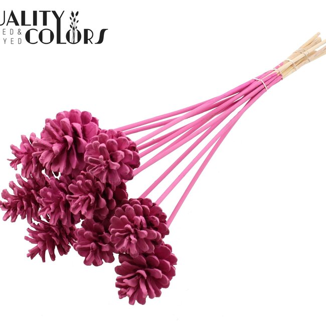 Dennenappel op stok | Kleur: Kerskleurig | Covered Cerise Bijsteker | Diameter dennenappel 5 - 7 centimeter | Lengte ± 50 centimeter | Per 10 bijstekers