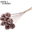 Pomme de pin sur bâton | Couleur : Champagne avec paillettes | Diamètre de la pomme de pin 5 - 7 centimètres | Longueur ± 50 centimètres | Par 10 piques supplémentaires