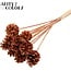 Pine cone on stick | Colour: Copper with Glitter | Pine cone diameter 5 - 7 centimetres | Length ± 50 centimetres | Per 10 picks