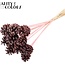 Pine cone on stick | Colour: Frosted Pink | Pine cone diameter 5 - 7 centimetres | Length ± 50 centimetres | Per 10 picks
