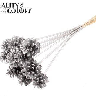 QC Pomme de pin sur tige | Couleur : Argenté | Diamètre de la pomme de pin 5 - 7 centimètres | Longueur ± 50 centimètres | Par 10 piques supplémentaires