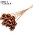 Pine cone on stick | Colour: Antique Gold | Pine cone diameter 5 - 7 centimetres | Length ± 50 centimetres | Per 10 picks