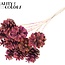 Pomme de pin sur tige | Couleur : Multicolore Rouge cerise | Diamètre de la pomme de pin 5 - 7 centimètres | Longueur ± 50 centimètres | Par 10 piques supplémentaires