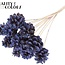 Pomme de pin sur bâton | Couleur : Multicolore Bleu Clair | Diamètre de la pomme de pin 5 - 7 centimètres | Longueur ± 50 centimètres | Par 10 piques supplémentaires