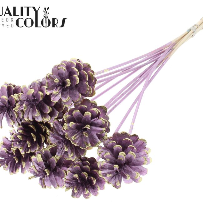 Dennenappel op stok | Kleur: Roze met Gouden Tip | Metallic Pink + Gold Tipped Bijsteker | Diameter dennenappel 5 - 7 centimeter | Lengte ± 50 centimeter | Per 10 bijstekers